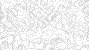 Abstract blank detailed topographic contour map subtle white background. Geographic topographic map grid. Line map with elevation. Topographic cartography. Topographic map. Topographic Relief. photo