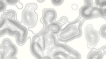 White wave paper curved reliefs abstract background, Abstract topographic contours map background. Geographic mountain relief. Abstract lines background. Contour maps. Business concept. photo