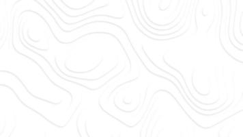 Abstract paper cut style design. Geometric layered curve line grey, white vector, realistic papercut decoration textured with wavy layers. Topography relief. photo