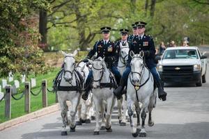 WASHINGTON D.C., USA - MAY, 2 2014 - US Army marine funeral at Arlington cemetery photo