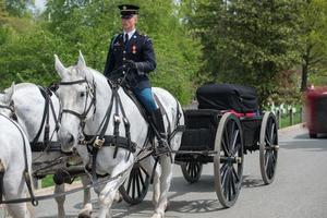 WASHINGTON D.C., USA - MAY, 2 2014 - US Army marine funeral at Arlington cemetery photo