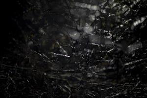 Texture of ice on black background. Branches in ice. Flickering light in dark. photo