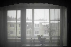 Curtains houses. Transparent curtains on window. Interior details. photo