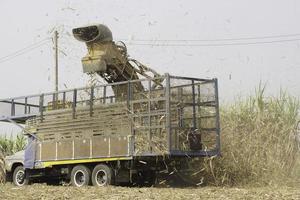 Sugarcane harvesters are cutting sugarcane and transporting it to trucks to deliver sugar mills during the harvesting season and converting the produce for consumption and export in rural Thailand. photo