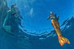 two Mermaid swimming underwater in the deep blue sea photo