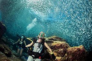 beautiful diver in fish and corals reef background photo