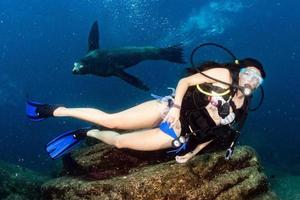 hermosa niña jugando con mar león foto