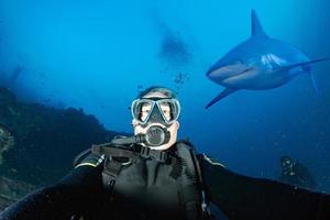 Underwater selfie with grey white shark ready to attack photo