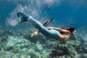 sirena nadando bajo el agua en el mar azul profundo con una foca foto