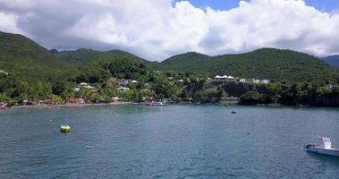 A beach with palm trees and vacationing tourists in Guadeloupe video