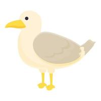 Stay seagull icon cartoon vector. Sea fly vector