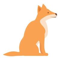 dingo perro mascota icono dibujos animados vector. salvaje naturaleza vector