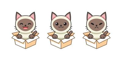 Vector cartoon illustration set of siamese cat showing different emotions in cardboard boxes