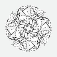 Floral mandala with calla flowers and leaves. Outline. Vector illustration.