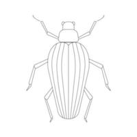 Beetle linear illustration botanical collection. vector