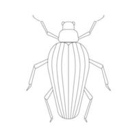 Beetle linear illustration botanical collection. vector