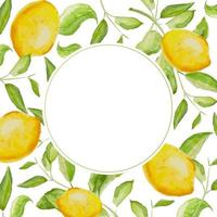 Herbal vector watercolor lemon frame. Hand painted green lemon and branches on white background. Natural card design.