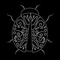 Beetle white linear illustration on black background. Botanical collection vector