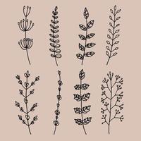 Hand drawn flower collection vector