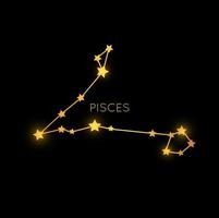 Pisces golden zodiac constellation, mystic sign vector