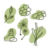 Silhouette of herbs and flowers. A set of flowers vector