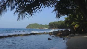 Wild empty beach in Seychelles video