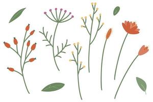 A set of twigs and leaves for decoration. Vector illustration of stylized plants in cartoon style. Isolated on a white background.