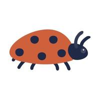 Ladybug. Vector illustration of a funny bug in cartoon style. Isolated on a white background.