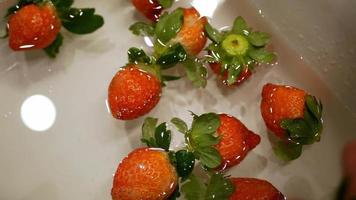 Cleaning delicious strawberries in water Washing fresh ripe juicy red strawberries floating in clean water video