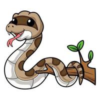 Cute gopher snake cartoon on tree branch vector