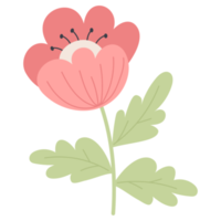 Red poppy flower. sticker png