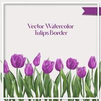 Vector watercolor tulips border collection