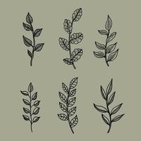 Hand drawn flower collection vector