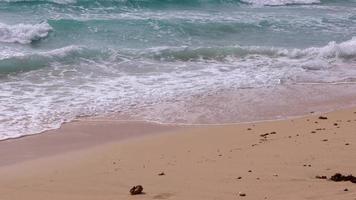 ondas em a praia, seychelles video