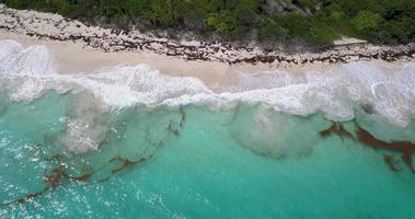 färgrik landskap av kran strand, barbados antenn video