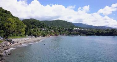 A beach with palm trees and vacationing tourists in Guadeloupe video