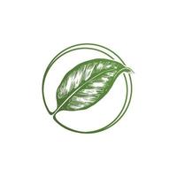 Organic Leaf Circle Simple Emblem Logo Template vector