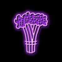 broccoli rabe neon glow icon illustration vector