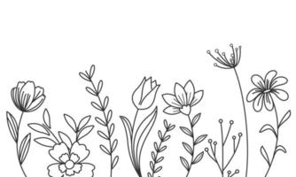 Black silhouettes of grass, flowers and herbs isolated on white background vector