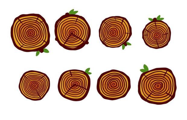 Cut tree trunk. Stump cross section. Concentric circular pattern on brown wood. Logger and Woodworking Industry Icon