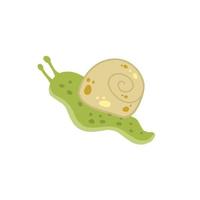 caracol con caparazón. pequeño verde insecto. bosque lento baboso animal. vector