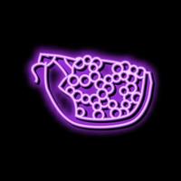 pomegranate cut ripe slice neon glow icon illustration vector