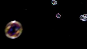 Abstract Soap Bubbles Flying Black Background video