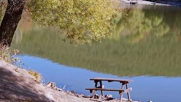 Wooden Bench Table and Tree by the Lake video