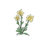 Una belleza de dibujo de línea continua y una planta exótica de leontopodium para la decoración de la pared del hogar. flor de edelweiss decorativa para el logotipo del parque nacional. Ilustración de vector de diseño de dibujo de una sola línea