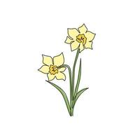 One single line drawing of beauty fresh narcissus for garden logo. Printable decorative daffodil flower concept for wedding invitation card. Trendy continuous line draw design vector illustration