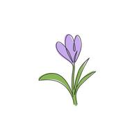 One single line drawing of beauty fresh croci for garden logo. Printable decorative crocus flower concept for home decor wall art print poster. Trendy continuous line draw design vector illustration