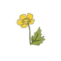 Dibujo de una sola línea Beauty Fresh Buttercup para decoración de pared, póster para el hogar, impresión de arte. Flor de ranúnculo decorativa imprimible para adorno de tarjetas de felicitación. Ilustración de vector de diseño de dibujo de línea continua