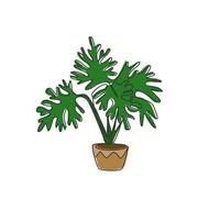 un dibujo de línea continua de una planta de hoja tropical en maceta. filodendro decorativo imprimible selloum concepto de planta de interior para la decoración de la pared del hogar. Ilustración gráfica de vector de diseño de dibujo de una sola línea moderna