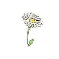 Dibujo de línea continua única de belle bellis perennis fresca para decoración de pared del hogar, póster, arte. concepto de flor de margarita común decorativo imprimible. Ilustración de vector de diseño gráfico de dibujo de una línea moderna